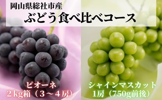 
【2回定期便】ぶどう食べ比べコース（ピオーネ・シャインマスカット）岡山県総社市産【2024年産先行予約】24-038-001
