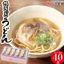 【ふるさと納税】さっとできてさっと食べられる ささっとうどん 20入(スープ付き)【麺 うどん 乾麺 保存食 無添加 贈答 お中元 お歳暮 贈り物 ギフト 神埼そうめん 時短 佐賀県産 簡単 】(H014136)