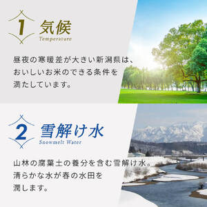 令和5年産 【6カ月連続お届け】新潟県産 こしいぶき 8㎏ (2kg×4袋) (精米)