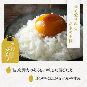 コシヒカリ お米 5kg 精米 単品 コシヒカリ