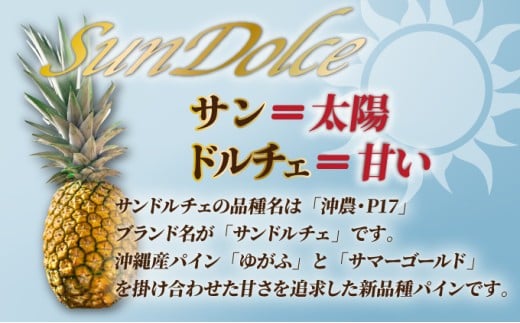 【先行予約】《2025年夏季 順次発送》サンドルチェ大玉2～3個 計2.4kg【 産地直送 沖縄 石垣 フルーツ パイナップル パイン サンドルチェ 】SI-41