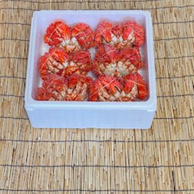 ふるさと納税 根室市 【年内配送可】★花咲かに300g〜450g前後×6尾 C-76038 |  | 01