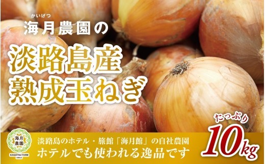 
                  海月館 自社農場栽培！淡路島産 玉ねぎ 10kg
                
