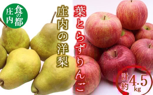 
            食の都庄内　庄内の葉とらずりんごと洋梨の詰め合わせ計約4.5kg※11月中旬から1月頃まで発送
          