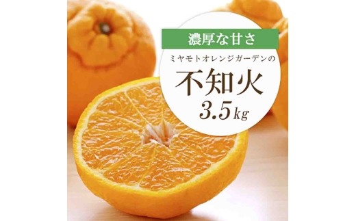 【先行受付】デコポンと同品種 濃厚柑橘 不知火(しらぬい)3.5kg＜D25-127＞【1044412】 YWTAP070