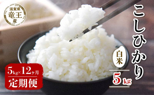 【先行予約】 新米 令和8年産米 こしひかり 白米 5kg 定期便 12ヶ月 コシヒカリ 定期 12か月  5kg × 12回 計 60kg 米 滋賀県 竜王町 国産 農家直送 特別栽培米 コシヒカリ  2026年産 国産 農家直送 環境こだわり お米 こめ おこめ 産地直送 送料無料 滋賀県 竜王町 ふるさと納税