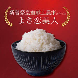 【令和8年産】 新米 定期便 5kg×4回 よさ恋美人 新米 AS007