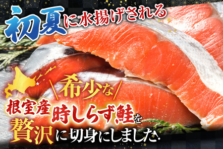 【北海道根室産】時しらず鮭切身600g×1P・1切×4P B-42112