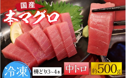 国産 本マグロ 中トロ 約500g 3～4人前 [B-066006] / 国産 まぐろ 鮪 さく 柵どり 冷凍 真空パック ヘルシー 4人前 3人前 新鮮 刺身 丼