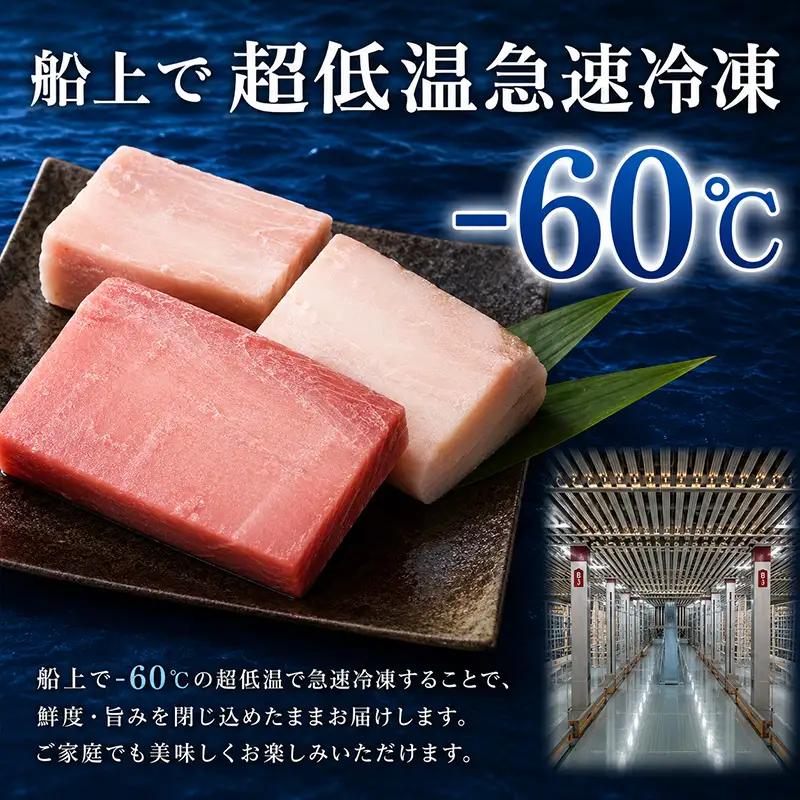 【定期便/計5回】天然マグロ メバチ・ビンチョウ（650g）【まぐろ】ge007 FN-Limited-PR
