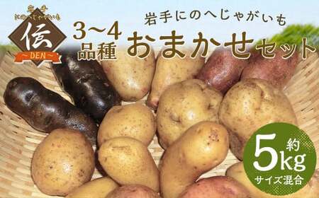 【厳選品】岩手にのへじゃがいも「伝」3～4種 品種おまかせ (サイズ混合) 5kg 【2025年9月中旬から2026年2月下旬発送予定】／ジャガイモ じゃがいも 芋 イモ 野菜 お取り寄せ 産地直送