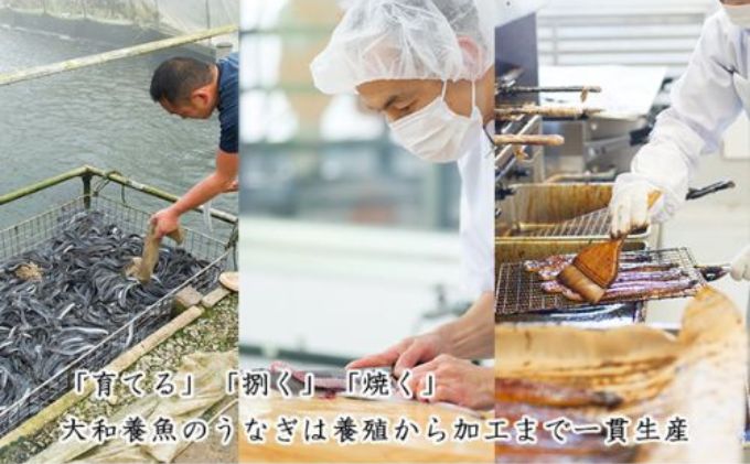 5月6日以降順次発送【訳あり】大和養魚の浜名湖うなぎ蒲焼きざみ（60g×10）蒲焼のたれセット【配送不可：離島】国産 浜松 小分け