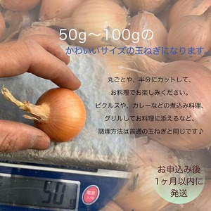 たまねぎ 5kg かわいい玉ねぎ かたもとオーガニックファーム