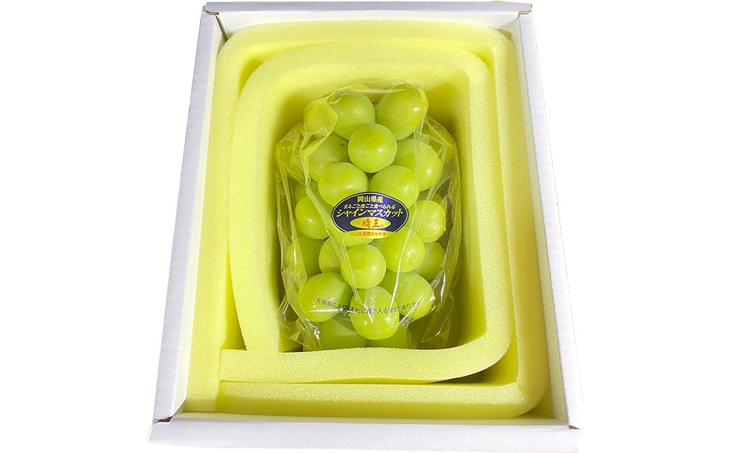 晴王 シャインマスカット晴王 1房 約700g