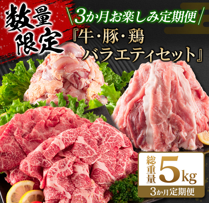 G62-25_数量限定 3か月 お楽しみ 定期便 牛肉 豚肉 鶏肉 バラエティ セット 総重量5kg 宮崎牛 黒毛和牛 国産 ブランド牛 食品 切り落とし 焼肉 お取り寄せ グルメ 小分け 真空パック
