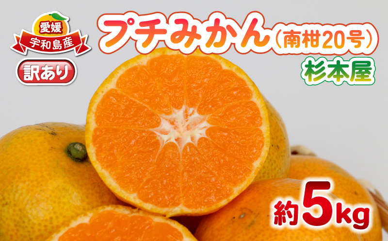 訳あり プチ みかん 南柑20号 5kg 杉本屋 先行予約 わけあり 訳あり品 訳アリ 小玉みかん 小みかん 愛媛みかん 愛媛蜜柑 愛媛ミカン 温州 温州みかん 果物 くだもの フルーツ 柑橘 蜜柑 