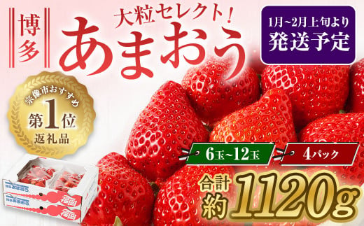 大粒セレクト！大人気のあまおう　福岡県産いちご　270g×4パック【2025年1月～2月上旬発送】_HA0274