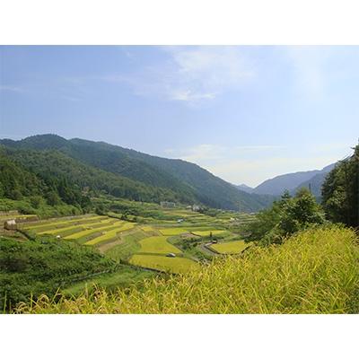 ふるさと納税 養父市 養父市大屋の棚田産天日干しコシヒカリ「温石米」7kg(2024年収穫米) |  | 01