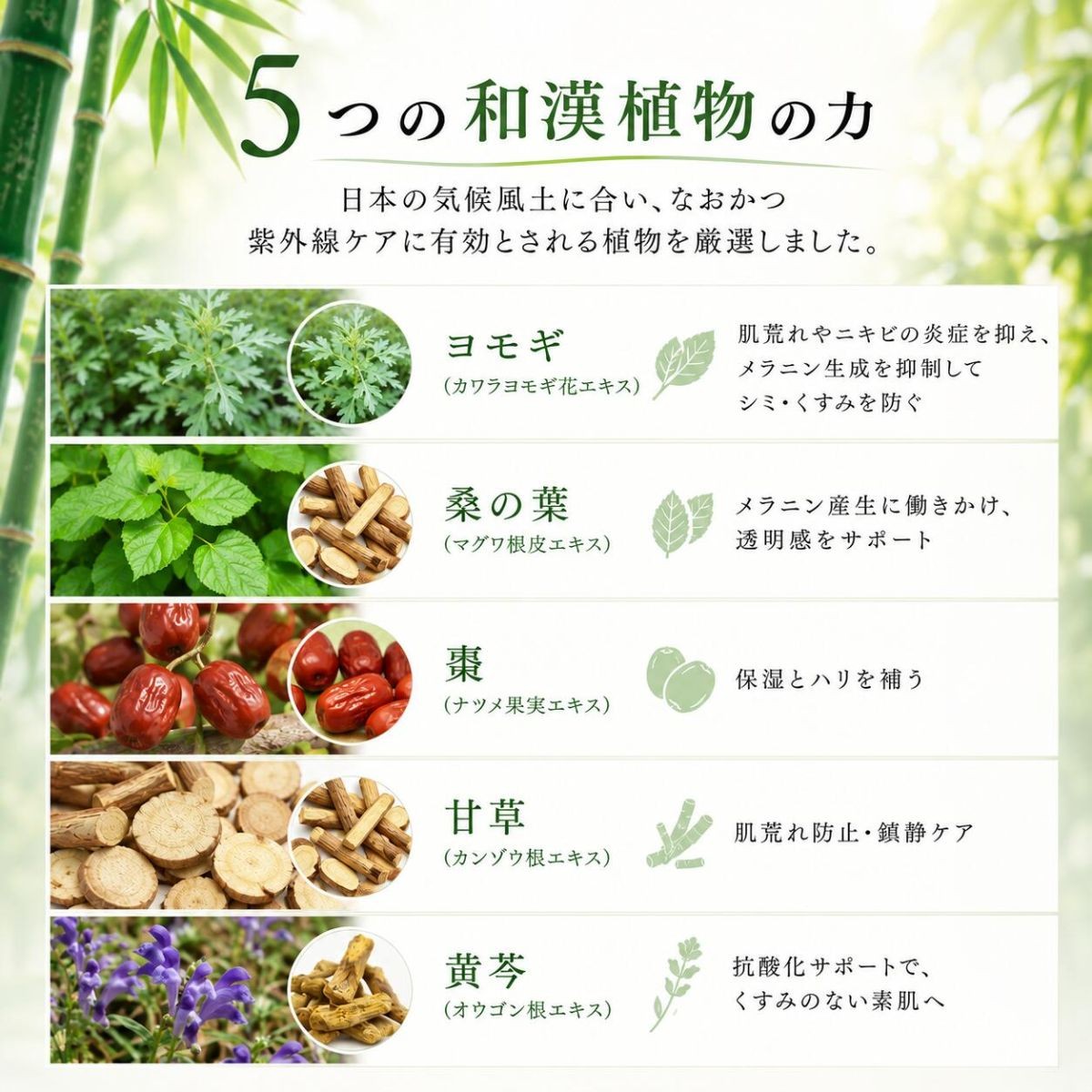 山口の竹から生まれたスキンケアbambina竹白和漢化粧水150ml  2本セット 化粧水 ローション 竹炭ミネラル 和漢エキス