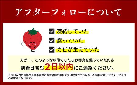 【2026年 先行予約】いちご 4種食べ比べ 400g×4パック 計1.6kg