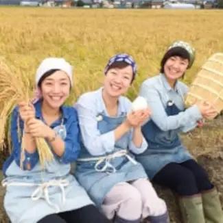 【令和7年産】【2回定期便】「米屋のこだわり阿賀野市産」コシヒカリ 5kg×2回 新潟県 米 こめ コメ 白米 精米 1E05021