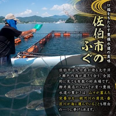 ふるさと納税 佐伯市 ストックする ふぐひれ (計30枚・15枚×2袋) |  | 02