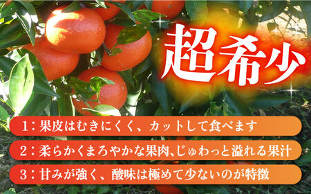 【2024年12月より発送】【ご家庭用】 みはや 3kg 長与町/果豊園[ECL004] / みかん みはや みかん みはや みかん みはや みかん みはや みかん みはや みかん みはや みかん み