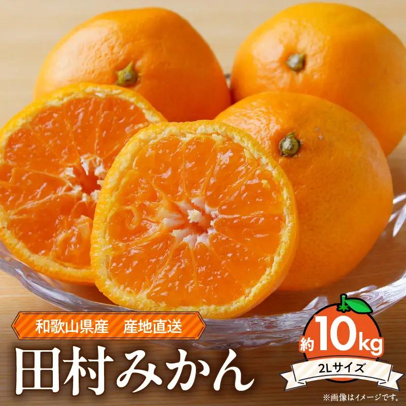 【2026年先行予約】和歌山 湯浅町産 田村みかん 約10kg【2L】_ZE6487