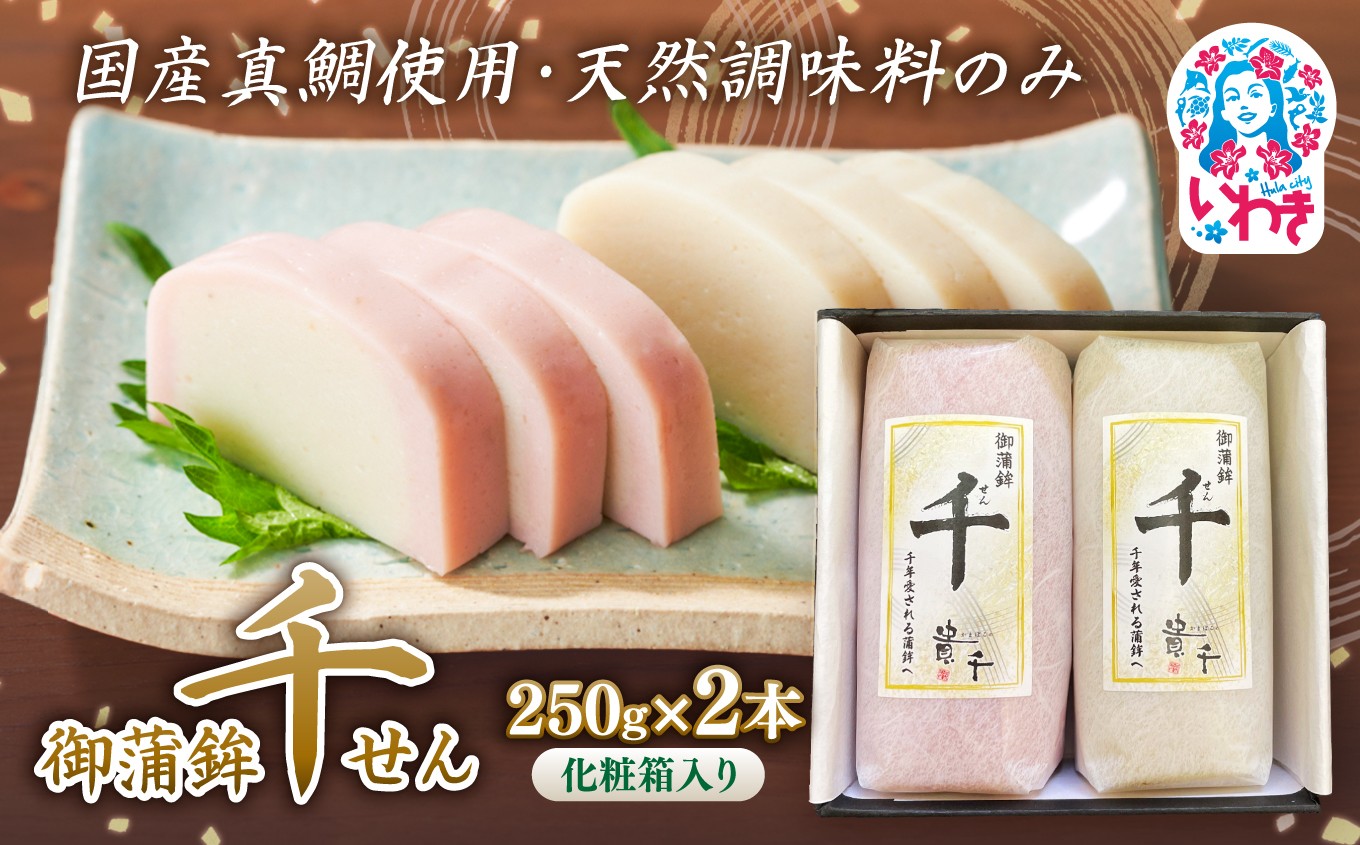 
                  御蒲鉾 千(2本・箱入) | 御蒲鉾 かまぼこ 蒲鉾 練り物 老舗 伝統製法 魚肉 すり身 本格 箱入り 2本入 冷蔵 厳選素材 ギフト対応 伝統の味 老舗の味 こだわり製法 送料無料 特産品 酒の肴 おつまみ 和風グルメ 逸品 | AB013
                
