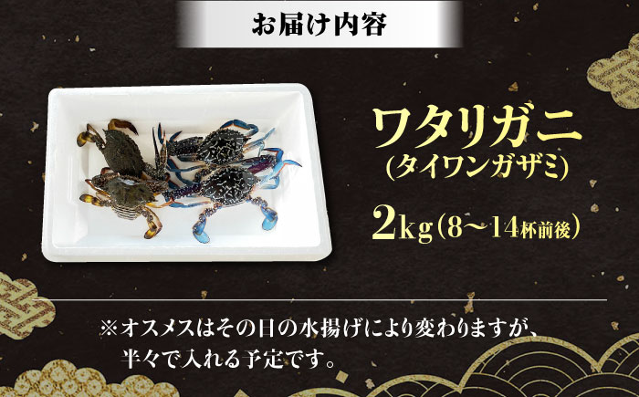 【先行予約】【2026年8月以降順次発送】豊前海産 タイワンガザミ 2kg (10～24杯前後) オス メス セット 《築上町》【明青丸】 ワタリガニ 渡り蟹 蟹 カニ [ABCB003] 27000