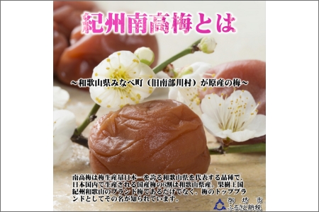 紀州南高梅　あまやか　1.2kg　家庭用（B級、C級）