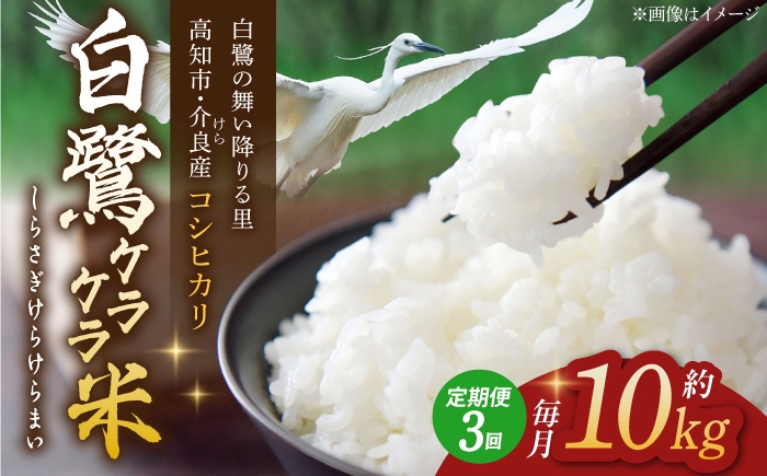 
                  【3回定期便】 R8年度産 特別栽培米 農薬節減！ 白鷺ケラケラ米 コシヒカリ 各約10kg 合計約30kg / 高知 米 お米 精米 　【津ノ宮農園】[ATBV014]
                