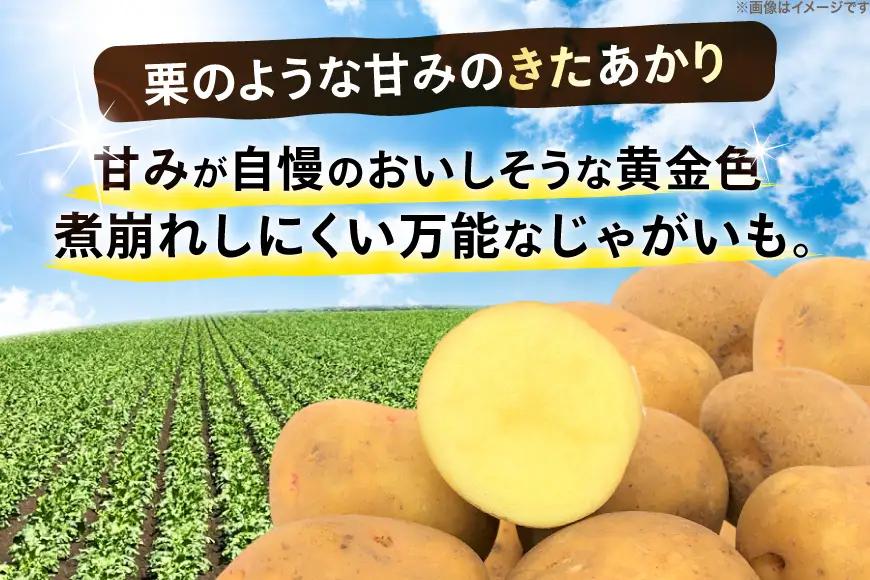 じゃがいも きたあかり 5kg