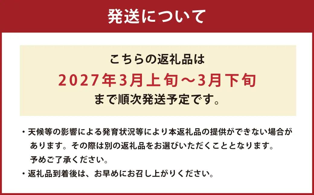 熊本県産 すいか スーパーエース 5kg以上 スイカ 西瓜 果物 くだもの フルーツ おすすめ ギフト 贈り物 【2027年3月上旬発送開始】