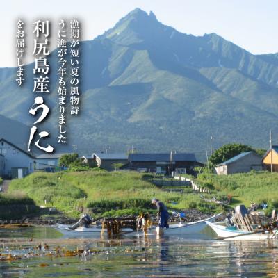 ふるさと納税 利尻富士町 【2025年発送受付】ムラサキウニ2パック 9月発送分 利尻漁業協同組合 |  | 01