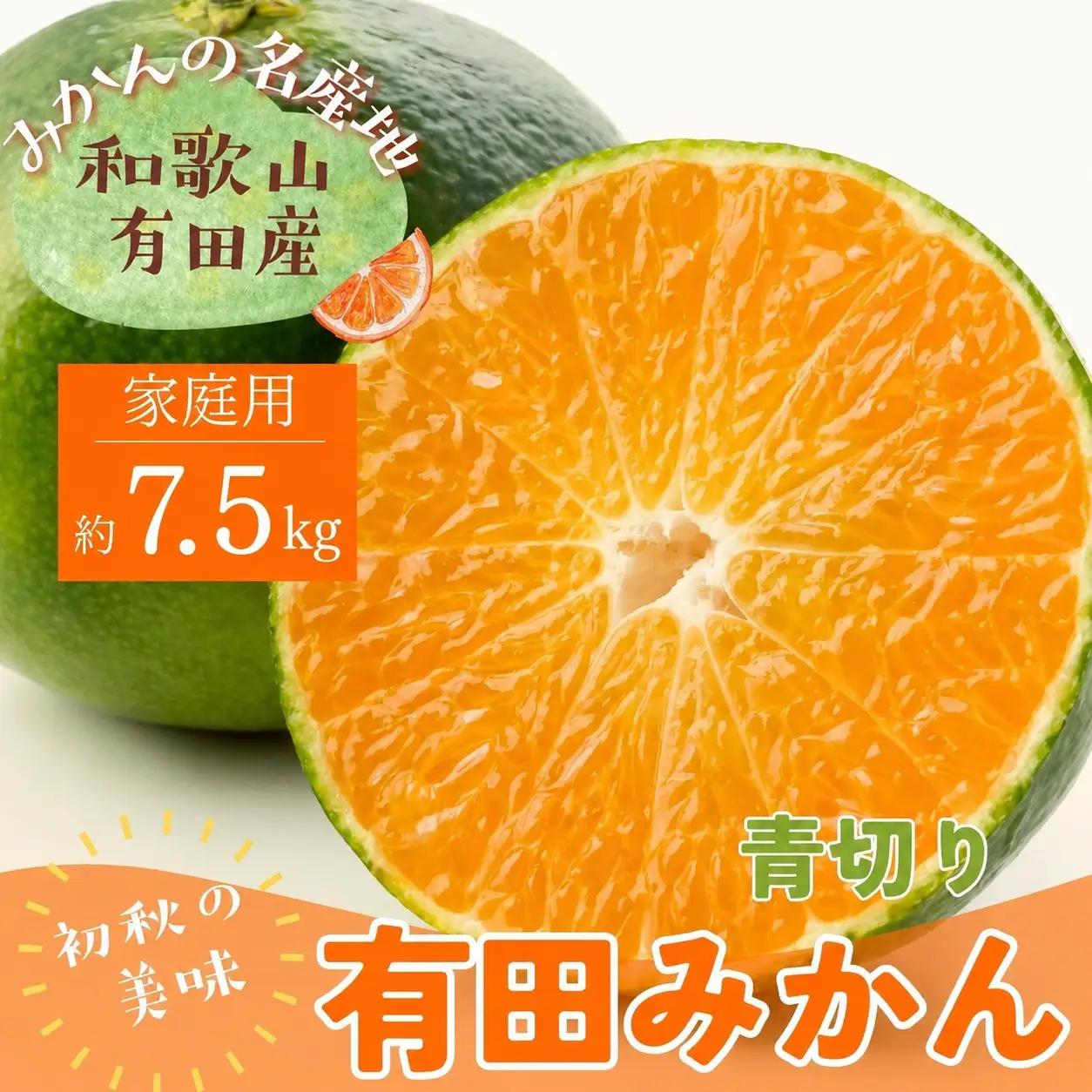 【先行予約　2026年9月中旬～10月上旬頃に順次発送予定】ご家庭用訳あり青切り有田みかん約7.5kg+200g(傷み補償分)【ard146B】