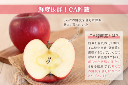 【6月前半発送】りんご ふじ 贈答用 約 3kg 【 有袋栽培 CA貯蔵 クール便 果物類 林檎 リンゴ ふじりんご フルーツ 青森りんご 五所川原 春 】 