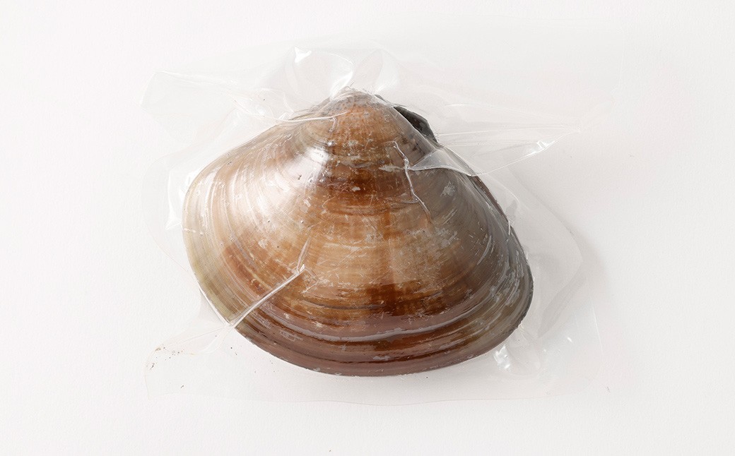 10年もの 桑名産 はまぐり 9粒入（ レトルト ）