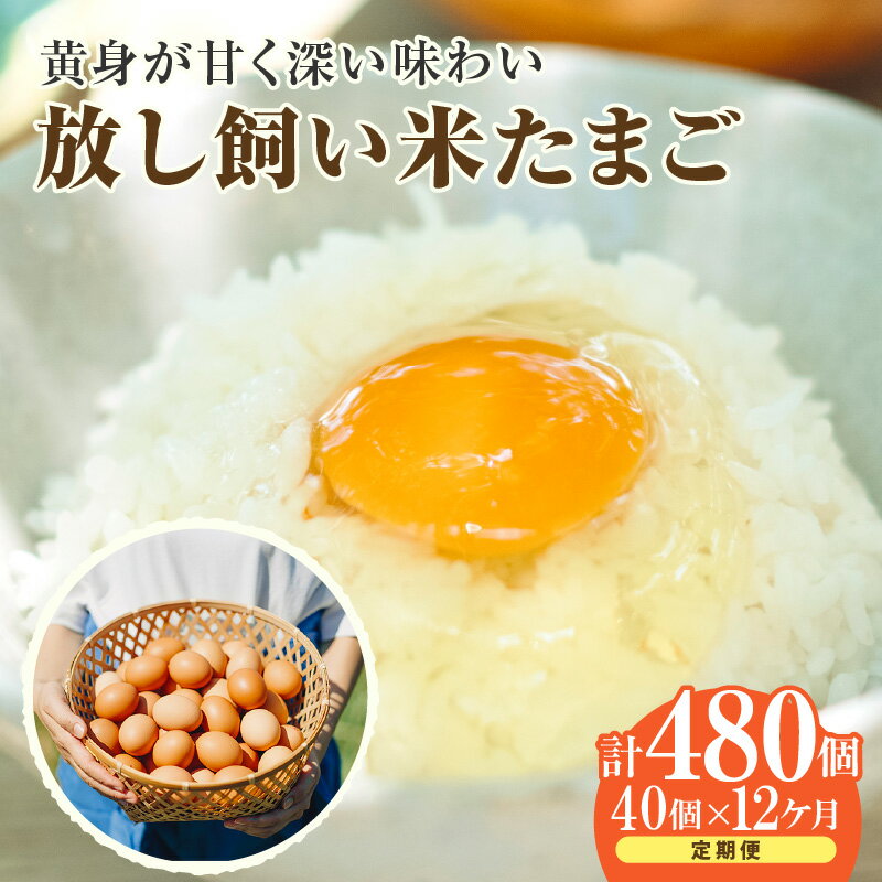 【ふるさと納税】【12ヵ月定期便】放し飼い 米たまご 35個+5個保証【計40個】 農家直送 赤たまご 新鮮 卵 純植物性飼料 飼料にこだわった 卵かけご飯 卵 定期便 12回 送料無料