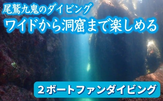ワイドから 美しい 洞窟 まで楽しめる！【 ２ボートファンダイビング】ワイド や ソフトコーラル も 人気 三重県 尾鷲市 九鬼 の ダイビング 通年 オールシーズン 　DI-13