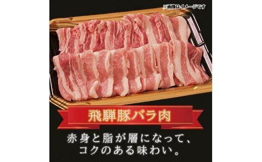 飛騨牛 ＆ 飛騨豚 焼肉 セット 合計 1kg | 肉 国産 牛 豚 29-950 ファミリーストアさとう CY030VC13
