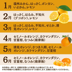 厳選 柑橘詰合せ1.5kg+45g（傷み補償分）【有田の春みかん詰め合わせ・フルーツ詰め合せ・オレンジつめあわせ】【光センサー選別】【ikd183】