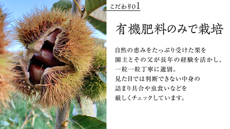 熟成で糖度の上がった 粗むき栗 1kg (200g × 5) ( 冷凍真空包装 ) 栗 栗ご飯 むき栗 栗 和栗 フルーツ 秋の味覚 お手軽