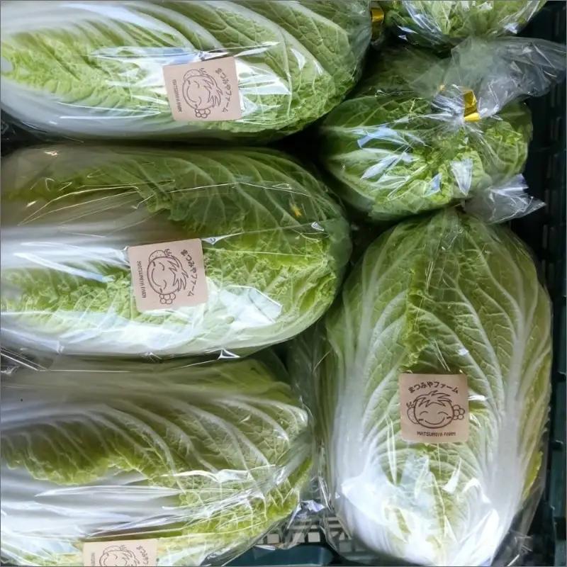 【野菜】京都 野菜秋冬セット 5品