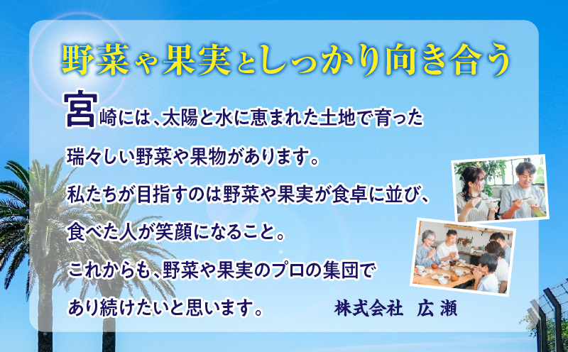 《2026年発送先行予約》【数量・期間限定】3回定期便 2L3玉完熟マンゴーコース_M354-T005-3-1
