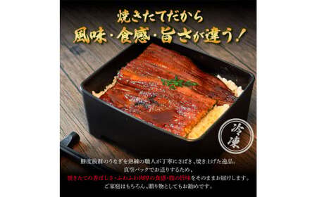 特選うなぎの蒲焼き 4ヶ月定期便 約130g×2尾 タレ付き 山椒付き ヤマシン