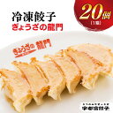 【ふるさと納税】【龍門】餃子 20個入り【ぎょうざ ギョウザ ギョーザ 冷凍食品 冷凍餃子 惣菜 夜ご飯 おかず おつまみ 手軽 時短 お取り寄せ グルメ 送料無料 栃木県 宇都宮市】※配送不可地域：離島