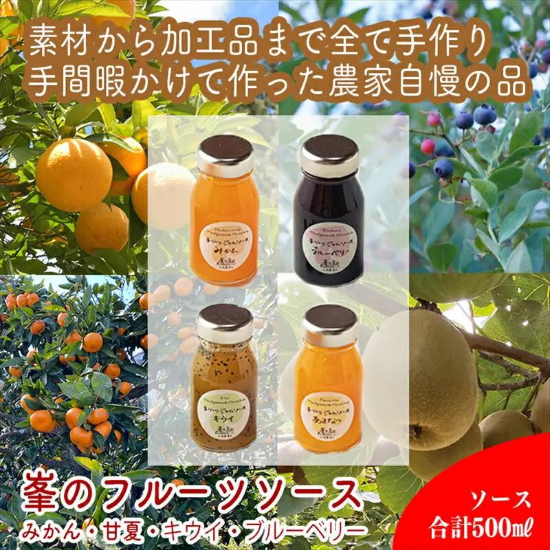 手づくりジャムソース 4本セット 手作りみかん キウイ あまなつ ブルーベリー 125ml 詰め合わせ ギフト 【 家庭用 自宅用 贈答品 贈答用 ギフト お取り寄せ お中元 お歳暮 贈り物 お祝い 神奈川県 小田原市 ジャム ジャム】