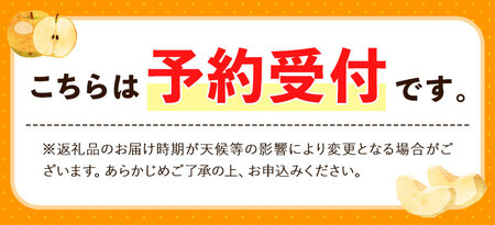 【先行予約】梨 旬の梨 約2～2.5kg 藤末果樹園 熊本県荒尾市産《7月中旬-10月中旬頃出荷》フルーツ 果物 荒尾梨 はつまる 幸水 愛甘水 りんか ほしあかり 豊水 秋麗 かおり あきづき 新高