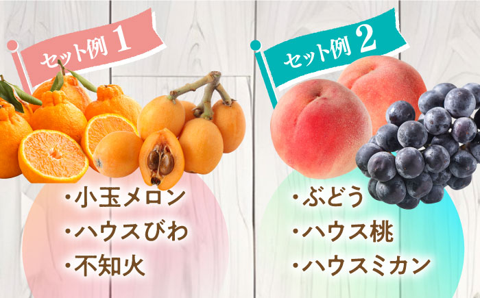 【4回定期便】旬のフルーツ定期便 春夏秋冬コース （2〜3品目×4回）季節の果物 詰め合わせ 果物 フルーツセット / 南島原市 / 吉岡青果 [SCZ020]